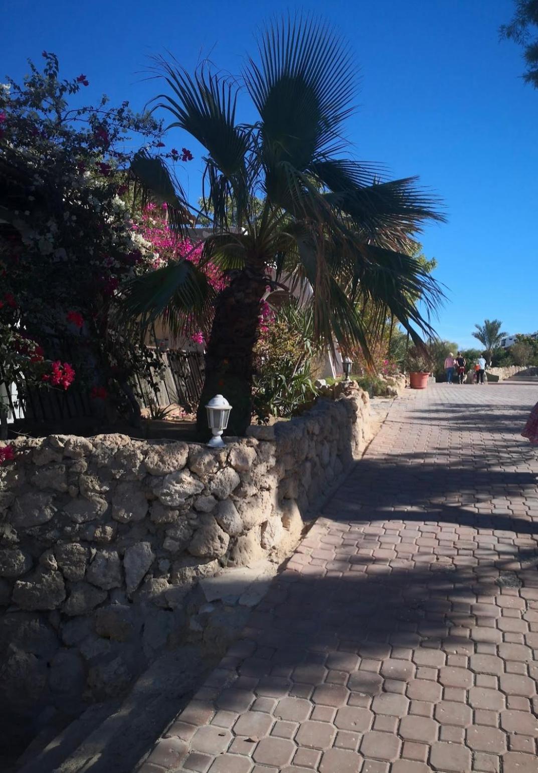 הורגהדה Cordoba Suites מראה חיצוני תמונה